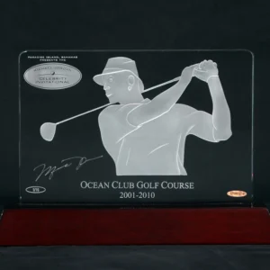 MICHAEL JORDAN MJ-UDA-LE/MJCI