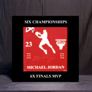 MJ-MVP-6X